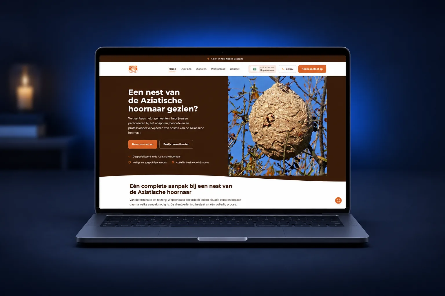 Wepsenbaas: website